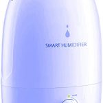 Homasy 3l Best Humidifiers